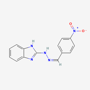 molecular formula C14H11N5O2 B3882924 N-[(Z)-(4-nitrophenyl)methylideneamino]-1H-benzimidazol-2-amine 