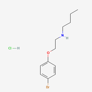 molecular formula C12H19BrClNO B3884287 N-[2-(4-bromophenoxy)ethyl]butan-1-amine;hydrochloride 