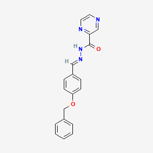 molecular formula C19H16N4O2 B3886530 N'-[4-(benzyloxy)benzylidene]-2-pyrazinecarbohydrazide 