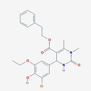 molecular formula C23H25BrN2O5 B388659 2-Phenylethyl 4-(3-bromo-5-ethoxy-4-hydroxyphenyl)-1,6-dimethyl-2-oxo-1,2,3,4-tetrahydropyrimidine-5-carboxylate 