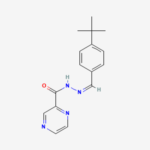 molecular formula C16H18N4O B3886963 N'-[(Z)-(4-tert-butylphenyl)methylidene]pyrazine-2-carbohydrazide 