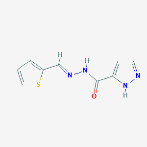 molecular formula C9H8N4OS B3894395 N'-(2-thienylmethylene)-1H-pyrazole-3-carbohydrazide 
