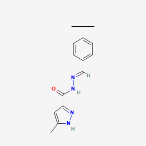 molecular formula C16H20N4O B3895540 N'-[(E)-(4-tert-butylphenyl)methylidene]-3-methyl-1H-pyrazole-5-carbohydrazide 