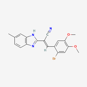 molecular formula C19H16BrN3O2 B3896367 (2E)-3-(2-bromo-4,5-dimethoxyphenyl)-2-(5-methyl-1H-1,3-benzodiazol-2-yl)prop-2-enenitrile 