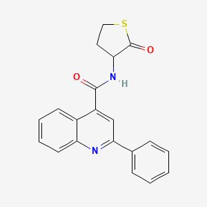 molecular formula C20H16N2O2S B3906655 N-(2-oxothiolan-3-yl)-2-phenylquinoline-4-carboxamide 