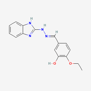 molecular formula C16H16N4O2 B3909271 5-[(E)-(1H-benzimidazol-2-ylhydrazinylidene)methyl]-2-ethoxyphenol 