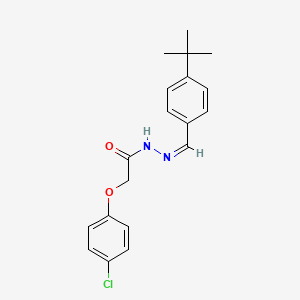 molecular formula C19H21ClN2O2 B3919718 N'-[(Z)-(4-tert-butylphenyl)methylidene]-2-(4-chlorophenoxy)acetohydrazide 