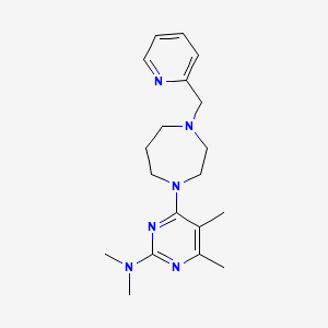 molecular formula C19H28N6 B3923919 N,N,4,5-tetramethyl-6-[4-(pyridin-2-ylmethyl)-1,4-diazepan-1-yl]pyrimidin-2-amine 