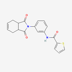 molecular formula C19H16N2O3S B3925532 N-[3-(1,3-dioxo-3a,4,7,7a-tetrahydroisoindol-2-yl)phenyl]thiophene-2-carboxamide 