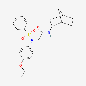 molecular formula C23H28N2O4S B3926443 N~1~-bicyclo[2.2.1]hept-2-yl-N~2~-(4-ethoxyphenyl)-N~2~-(phenylsulfonyl)glycinamide 