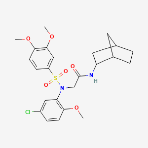 molecular formula C24H29ClN2O6S B3928141 N-bicyclo[2.2.1]hept-2-yl-N~2~-(5-chloro-2-methoxyphenyl)-N~2~-[(3,4-dimethoxyphenyl)sulfonyl]glycinamide 