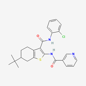 molecular formula C25H26ClN3O2S B3936246 N-{6-Tert-butyl-3-[(2-chlorophenyl)carbamoyl]-4,5,6,7-tetrahydro-1-benzothiophen-2-YL}pyridine-3-carboxamide 