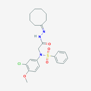 molecular formula C23H28ClN3O4S B393629 N-(3-chloro-4-methoxyphenyl)-N-[2-(2-cyclooctylidenehydrazino)-2-oxoethyl]benzenesulfonamide 