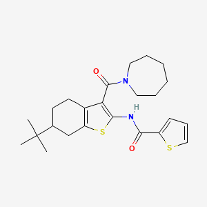 molecular formula C24H32N2O2S2 B3938710 N-[3-(azepane-1-carbonyl)-6-tert-butyl-4,5,6,7-tetrahydro-1-benzothiophen-2-yl]thiophene-2-carboxamide 