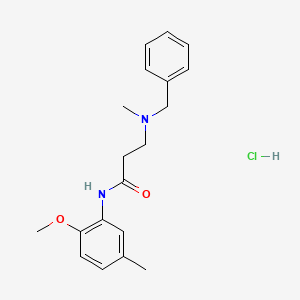 molecular formula C19H25ClN2O2 B3944108 N~3~-benzyl-N~1~-(2-methoxy-5-methylphenyl)-N~3~-methyl-beta-alaninamide hydrochloride 