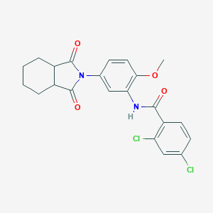 2,4-dichloro-N-[5-(1,3-dioxooctahydro-2H-isoindol-2-yl)-2-methoxyphenyl]benzamide