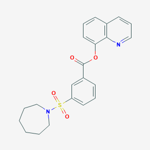 molecular formula C22H22N2O4S B394699 Quinolin-8-yl 3-(azepan-1-ylsulfonyl)benzoate 
