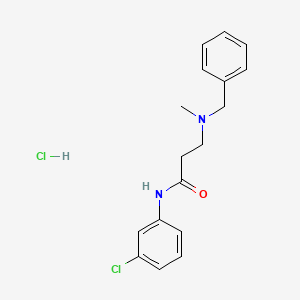 molecular formula C17H20Cl2N2O B3948157 N~3~-benzyl-N~1~-(3-chlorophenyl)-N~3~-methyl-beta-alaninamide hydrochloride 
