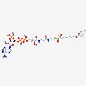 molecular formula C36H53ClN7O19P3S B039516 Etomoxiryl-CoA CAS No. 124122-91-4