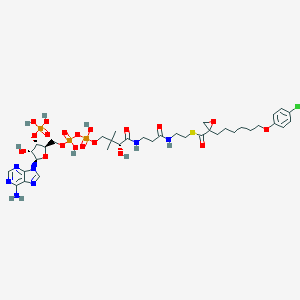 molecular formula C36H53ClN7O19P3S B039516 Etomoxir-coa CAS No. 124122-91-4