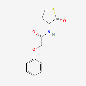 molecular formula C12H13NO3S B3951997 N-(2-oxotetrahydrothiophen-3-yl)-2-phenoxyacetamide 