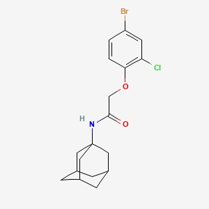 molecular formula C18H21BrClNO2 B3959836 N-1-adamantyl-2-(4-bromo-2-chlorophenoxy)acetamide 