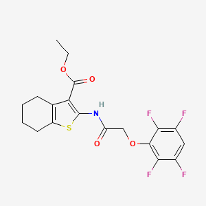 molecular formula C19H17F4NO4S B3961181 Ethyl 2-[[2-(2,3,5,6-tetrafluorophenoxy)acetyl]amino]-4,5,6,7-tetrahydro-1-benzothiophene-3-carboxylate 