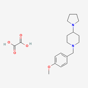molecular formula C19H28N2O5 B3971168 1-[(4-Methoxyphenyl)methyl]-4-pyrrolidin-1-ylpiperidine;oxalic acid 