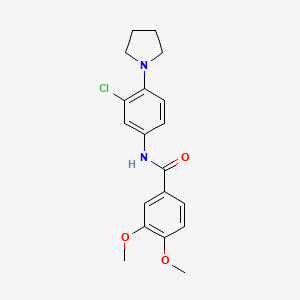 molecular formula C19H21ClN2O3 B3974199 N-(3-chloro-4-pyrrolidin-1-ylphenyl)-3,4-dimethoxybenzamide 