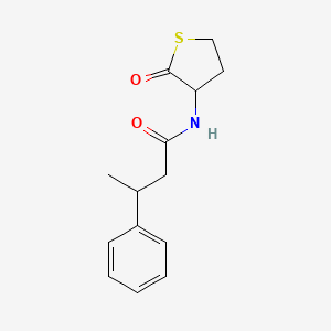 molecular formula C14H17NO2S B3977313 N-(2-oxothiolan-3-yl)-3-phenylbutanamide 