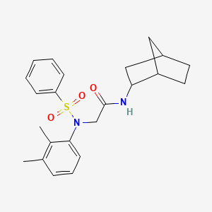 molecular formula C23H28N2O3S B3979114 N-{BICYCLO[2.2.1]HEPTAN-2-YL}-2-[N-(2,3-DIMETHYLPHENYL)BENZENESULFONAMIDO]ACETAMIDE 