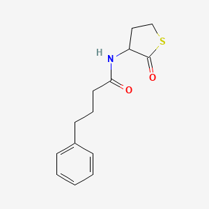 molecular formula C14H17NO2S B3981069 N-(2-oxothiolan-3-yl)-4-phenylbutanamide 