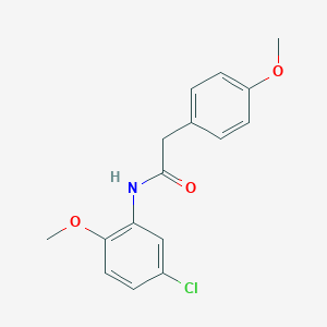 molecular formula C16H16ClNO3 B398464 N-(5-chloro-2-methoxyphenyl)-2-(4-methoxyphenyl)acetamide CAS No. 349093-56-7