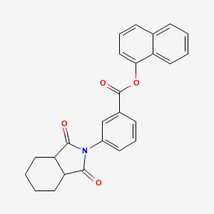molecular formula C25H21NO4 B3989396 naphthalen-1-yl 3-(1,3-dioxooctahydro-2H-isoindol-2-yl)benzoate 