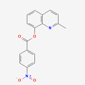 molecular formula C17H12N2O4 B3993695 (2-Methylquinolin-8-yl) 4-nitrobenzoate 