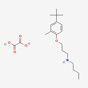 molecular formula C20H33NO5 B4000260 N-[3-(4-tert-butyl-2-methylphenoxy)propyl]butan-1-amine;oxalic acid 