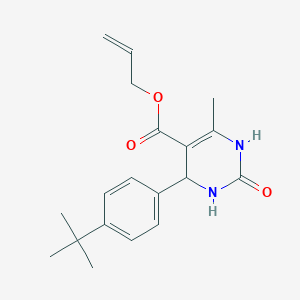 molecular formula C19H24N2O3 B4000492 allyl 4-(4-tert-butylphenyl)-6-methyl-2-oxo-1,2,3,4-tetrahydro-5-pyrimidinecarboxylate 