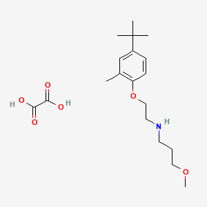 molecular formula C19H31NO6 B4005134 N-[2-(4-tert-butyl-2-methylphenoxy)ethyl]-3-methoxypropan-1-amine;oxalic acid 