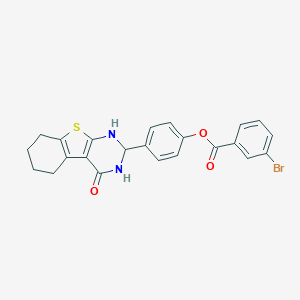 molecular formula C23H19BrN2O3S B400604 4-(4-Oxo-1,2,3,4,5,6,7,8-octahydro[1]benzothieno[2,3-d]pyrimidin-2-yl)phenyl 3-bromobenzoate 