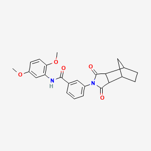 molecular formula C24H24N2O5 B4011488 N-(2,5-dimethoxyphenyl)-3-(1,3-dioxooctahydro-2H-4,7-methanoisoindol-2-yl)benzamide 