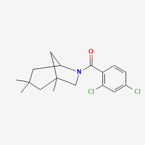molecular formula C17H21Cl2NO B4020668 (2,4-Dichlorophenyl)(1,3,3-trimethyl-6-azabicyclo[3.2.1]oct-6-yl)methanone 