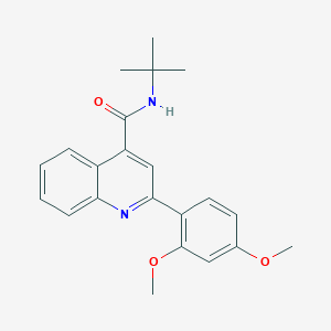 molecular formula C22H24N2O3 B4027052 N-tert-butyl-2-(2,4-dimethoxyphenyl)quinoline-4-carboxamide 