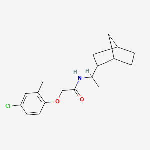 molecular formula C18H24ClNO2 B4029943 N-(1-{BICYCLO[2.2.1]HEPTAN-2-YL}ETHYL)-2-(4-CHLORO-2-METHYLPHENOXY)ACETAMIDE 