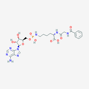 molecular formula C25H33N8O10P B040301 Hlamp CAS No. 113527-46-1