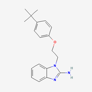 molecular formula C19H23N3O B4030833 1-[2-(4-tert-butylphenoxy)ethyl]-1H-benzimidazol-2-amine 