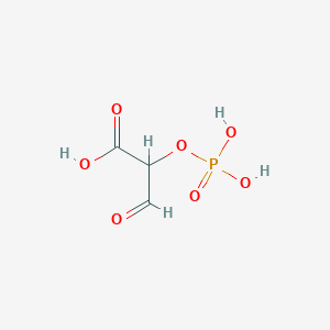 molecular formula C3H5O7P B040315 3-Oxo-2-phosphonooxypropanoic acid CAS No. 118455-76-8