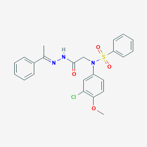 molecular formula C23H22ClN3O4S B404065 N-(3-CHLORO-4-METHOXYPHENYL)-N-({N'-[(1E)-1-PHENYLETHYLIDENE]HYDRAZINECARBONYL}METHYL)BENZENESULFONAMIDE 