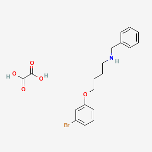 molecular formula C19H22BrNO5 B4042836 N-benzyl-4-(3-bromophenoxy)butan-1-amine;oxalic acid 