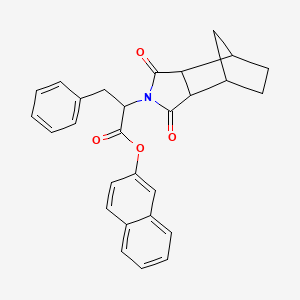 molecular formula C28H25NO4 B4055824 naphthalen-2-yl 2-(1,3-dioxooctahydro-2H-4,7-methanoisoindol-2-yl)-3-phenylpropanoate 