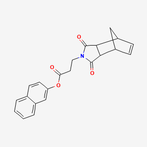 molecular formula C22H19NO4 B4062826 naphthalen-2-yl 3-(1,3-dioxo-1,3,3a,4,7,7a-hexahydro-2H-4,7-methanoisoindol-2-yl)propanoate 